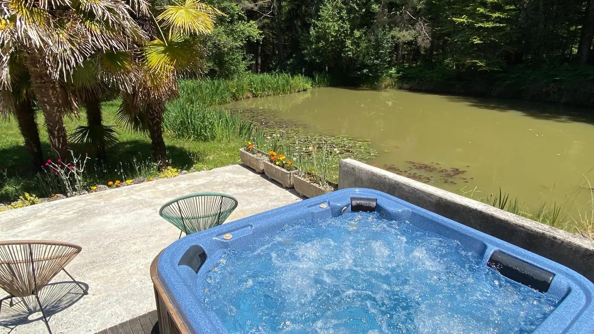 Maison De Maitre - Bed & Breakfast Dans Une Foret Royale Avec Piscine Et Spa Sainte-Croix-Volvestre